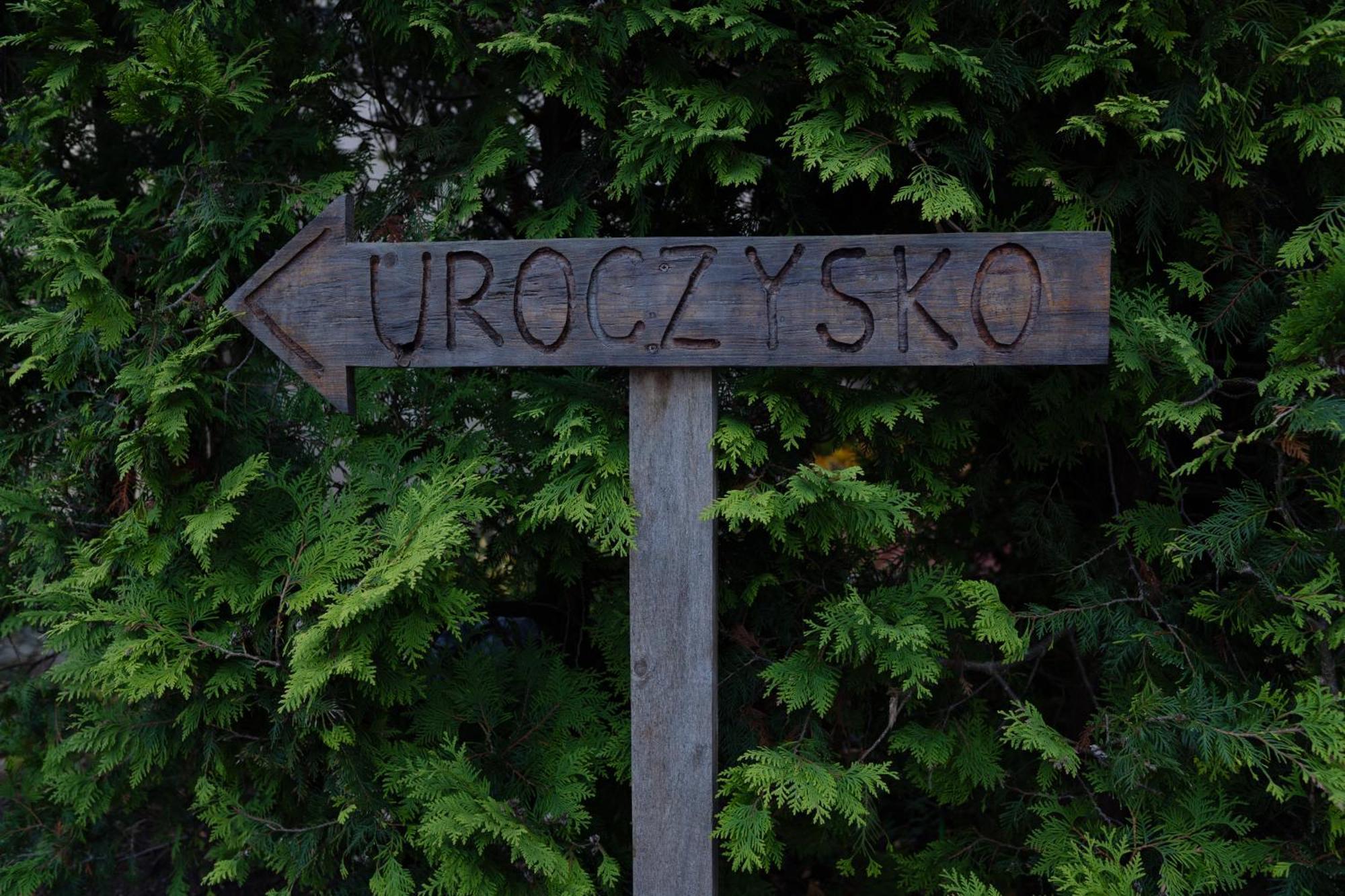 Bed and Breakfast Uroczysko Olesnica Ходзєж Екстер'єр фото
